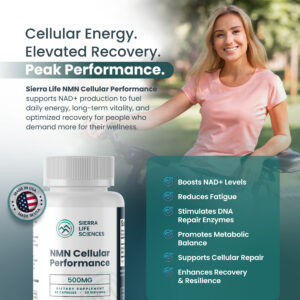 NMN Cellular Performance (Nicotinamide)
