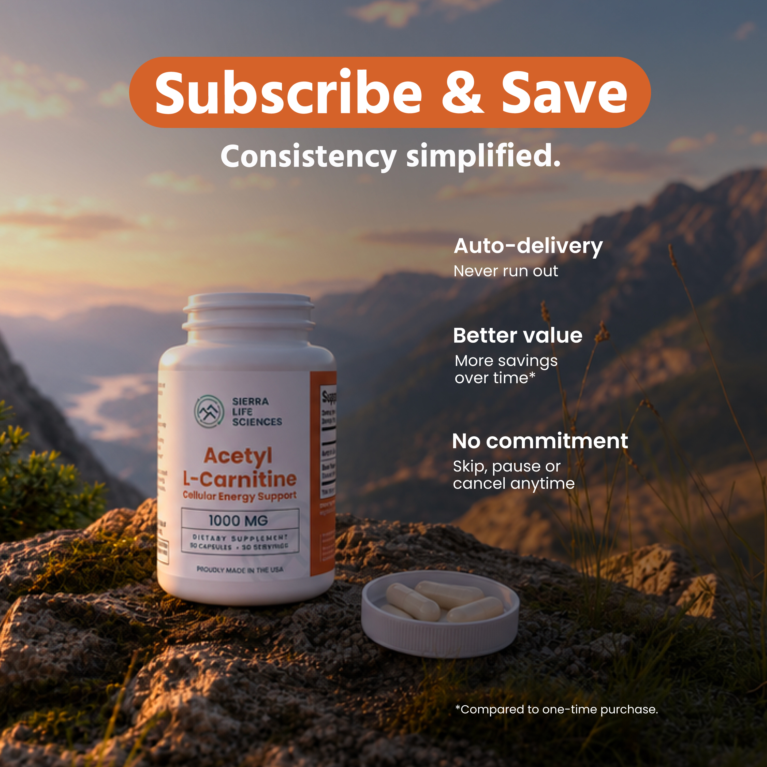 Acetyl-L-Carnitine 1000MG - Image 5