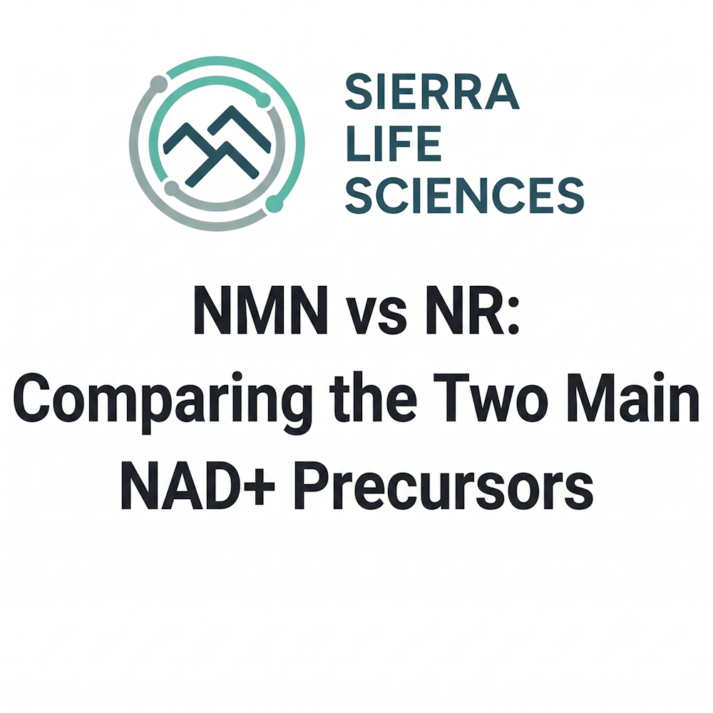 Read more about the article NMN vs NR: Comparing the Two Main NAD+ Precursors