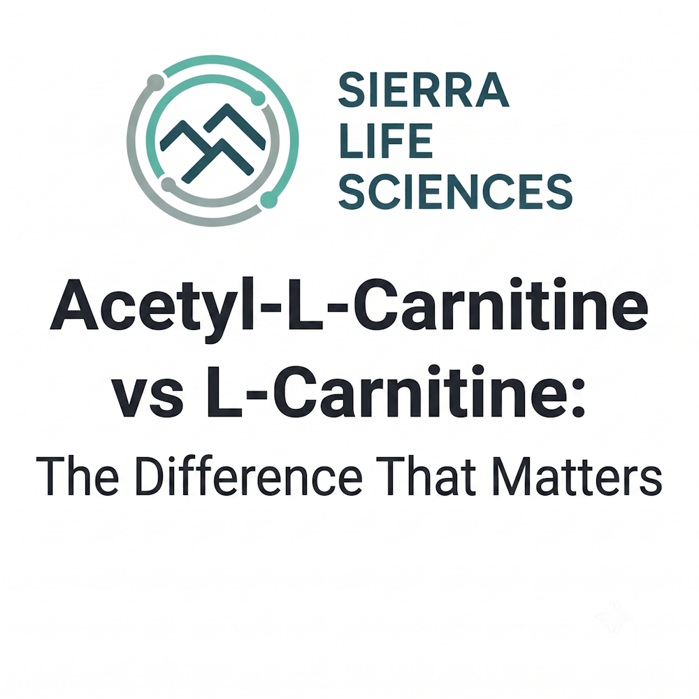 Read more about the article Acetyl-L-Carnitine vs L-Carnitine: The Difference That Matters