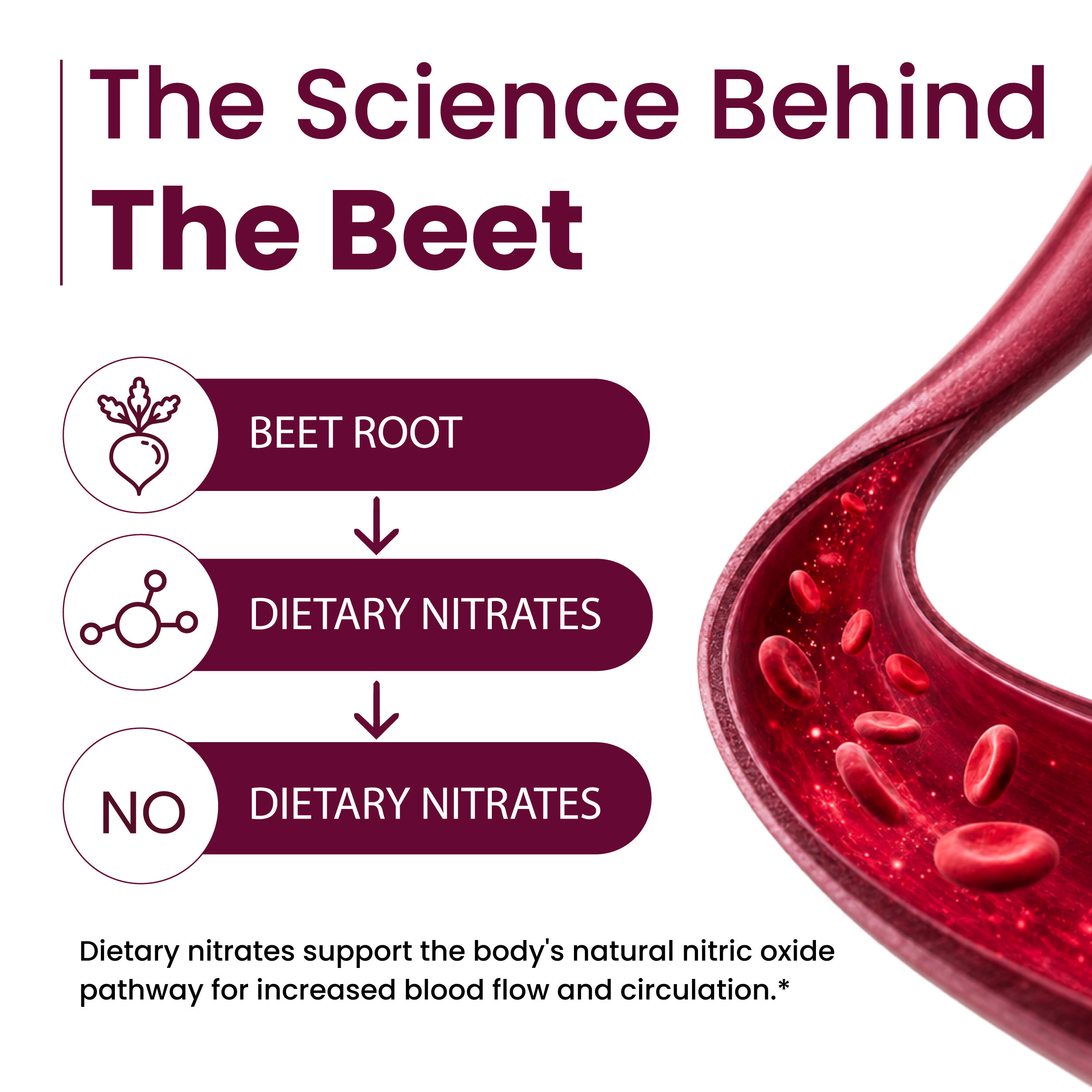 Beet Root Bulk Powder - Image 3